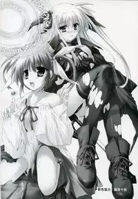 (C72) [Aruku Denpa-tou no Kai (Kimura Shuuichi)] Fate/ero (Mahou Shoujo Lyrical Nanoha)