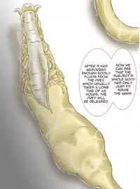 [Kasetsu Shirokuma (Yoi)] P045-02 Vanis Report [English] [CrayZayJay]