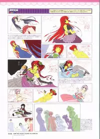 Kimi wo Aogi Otome wa Hime ni Visual Fan Book