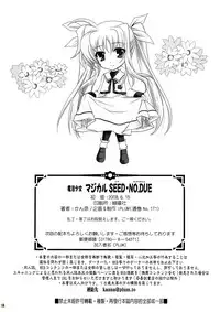 (SC40) [PLUM (Kanna)] Mahou Shoujo MAGICAL SEED No.Due (Mahou Shoujo Lyrical Nanoha) [English] [Tonigobe]