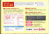Dakimakura Cover Gashuu Bishoujo Game Hen