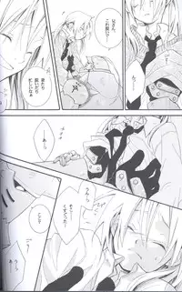 [Hakai Ryouiki (Yasuhara Yuki)] SUPER ordinary SEX (Fullmetal Alchemist)