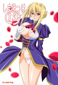 (C79) [SHIMAHOKKE (Kuroda Kazuya)] Shimahokke 13 (Princess Lover!, Akisora)