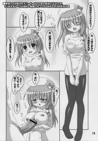 (C74) [Schwester (Shirau Inasaki) Rollin 29 (Touhou Project)