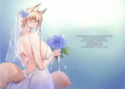 Irui Konintan Soushuuhen