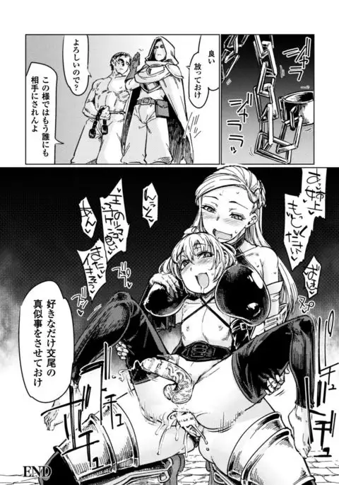 Seigi no Heroine Kangoku File Vol. 15