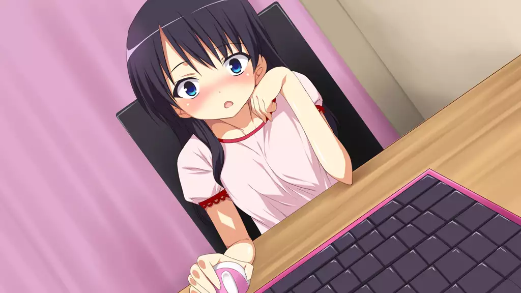 Imouto Tousatsu Kiroku