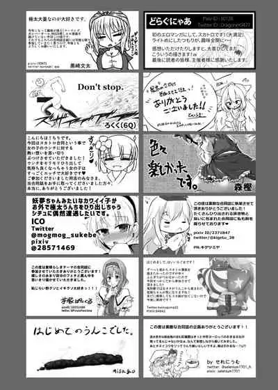 Touhou Scatology Goudoushi "Benjo!!!!!!!!"