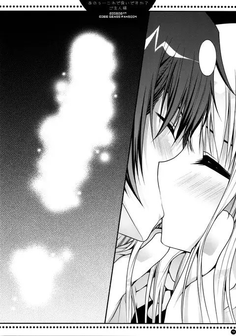 Anou...Korede Iidesuka? Goshujinsama