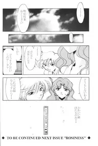 (C59) [Rose Water (Haruka Ayanokouji)] Rose Water 12 Rosette (Bishoujo Senshi Sailor Moon)