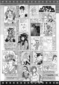 Colorful Bee 1999-10