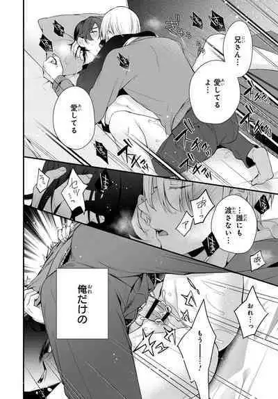 Ani o Yome ni Metorimasu ～ Kondo wa Tebanasanai ～ R18 Edition Vol. 1-4