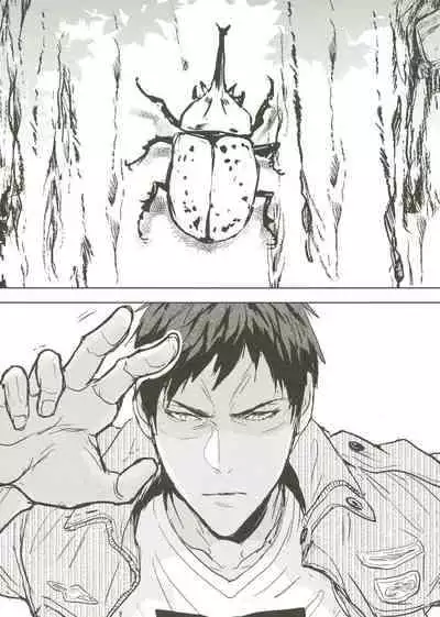 [Fuerzabruta (ZawarC)] Things You Taught Me (Kuroko no Basuke) [Chinese]