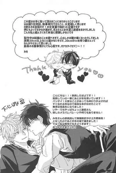 (Kabukichou Daishuukai 9) [Kaisendon!, 5SQ (Shitagokoro Poyo, Miwo)] Hamedori! (Gintama)