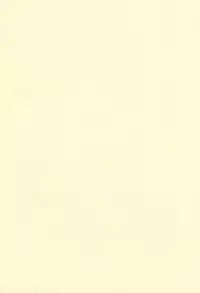 [Okina Flying Factory (OKINA)] INVISIBLE STALKER