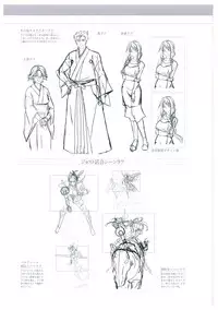 Walkure Romanze More & More Visual Fan Book