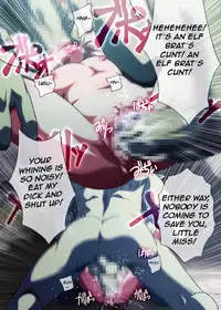 [Ketsune Cyadokoro (Ketsune)] Shunzumi Elf Dai-2-shou [English] [SMDC] [No Blood]