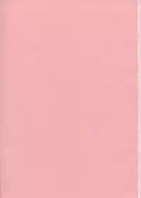 [Studio Kimigabuchi (Entokkun)] Special Kimigabuchi 2000 Nen Summer Prototype (Love Hina, Keroro Gunsou)