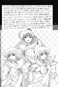 [Fukumaden (Ohkami Tomoyuki)] Rai-Kou (Sailor Moon)