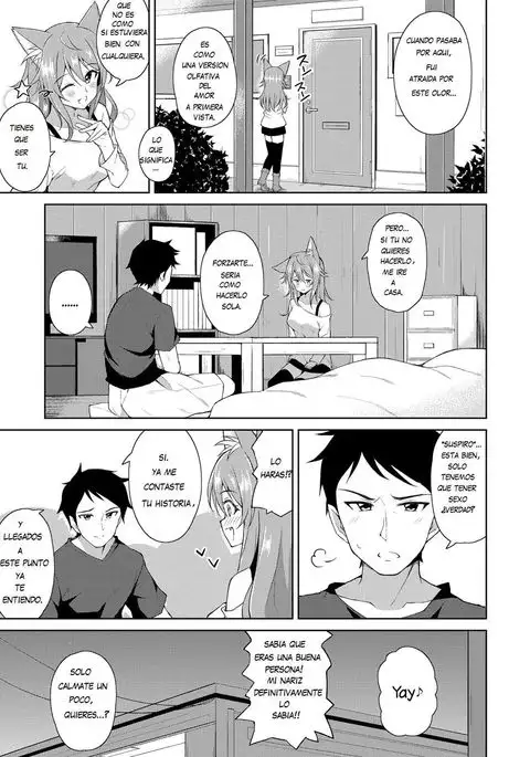 Sweet Fox | Dulce zorro