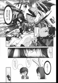 [NINE TAIL (GRIFON)] COLLECTERS (Ragnarok Online)