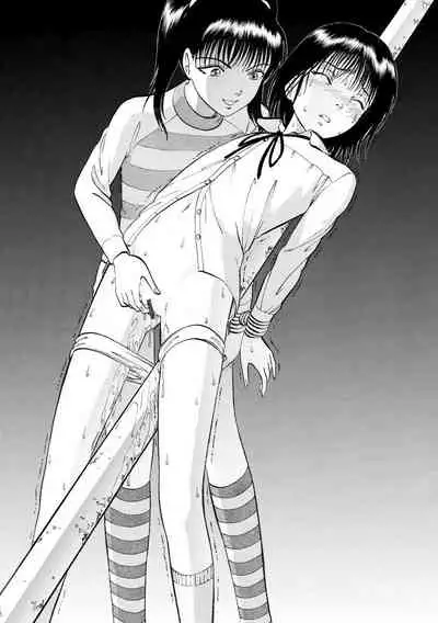 Cyberia Maniacs Hitozuma Juurin Collection Vol. 007