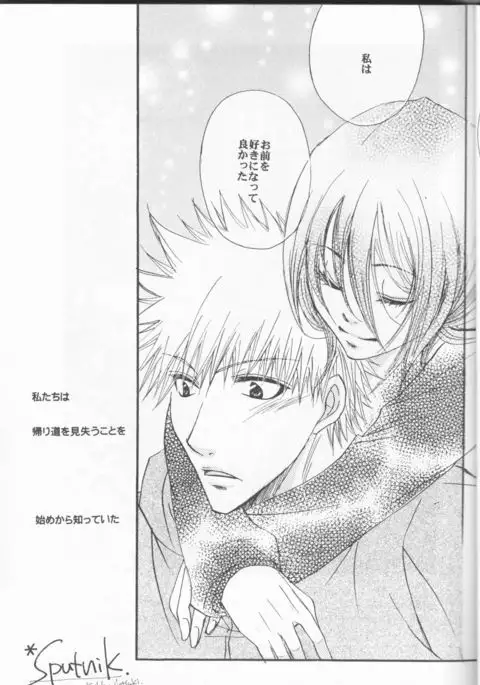 Sputnik Introduction