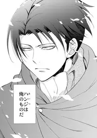 (C85) [RIX (Mamiya)] Ten ni Habataku Sono Hi Made (Shingeki no Kyojin)