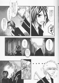 [TRANCEG (Tokugawa Miyo)] Lovers' Soul (Bleach)