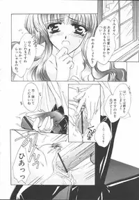 [Sakurai Aya] My Sweet Plum