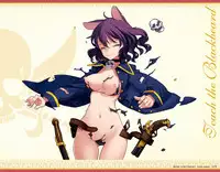 Eiyuu*Senki GOLD Visual Fanbook