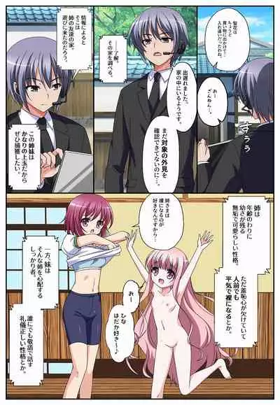 Bishoujo Shimai Figure?