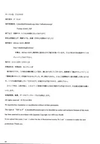 (C91) [TSF no F (Various)] TSF no F no Hon Sono 3