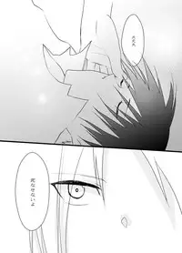 [Kyoka Suigetsu] Rh - no koi 3 (Fullmetal Alchemist)