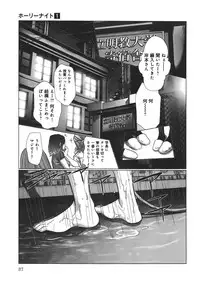 [Miyazaki Maya] Holy Knight 1