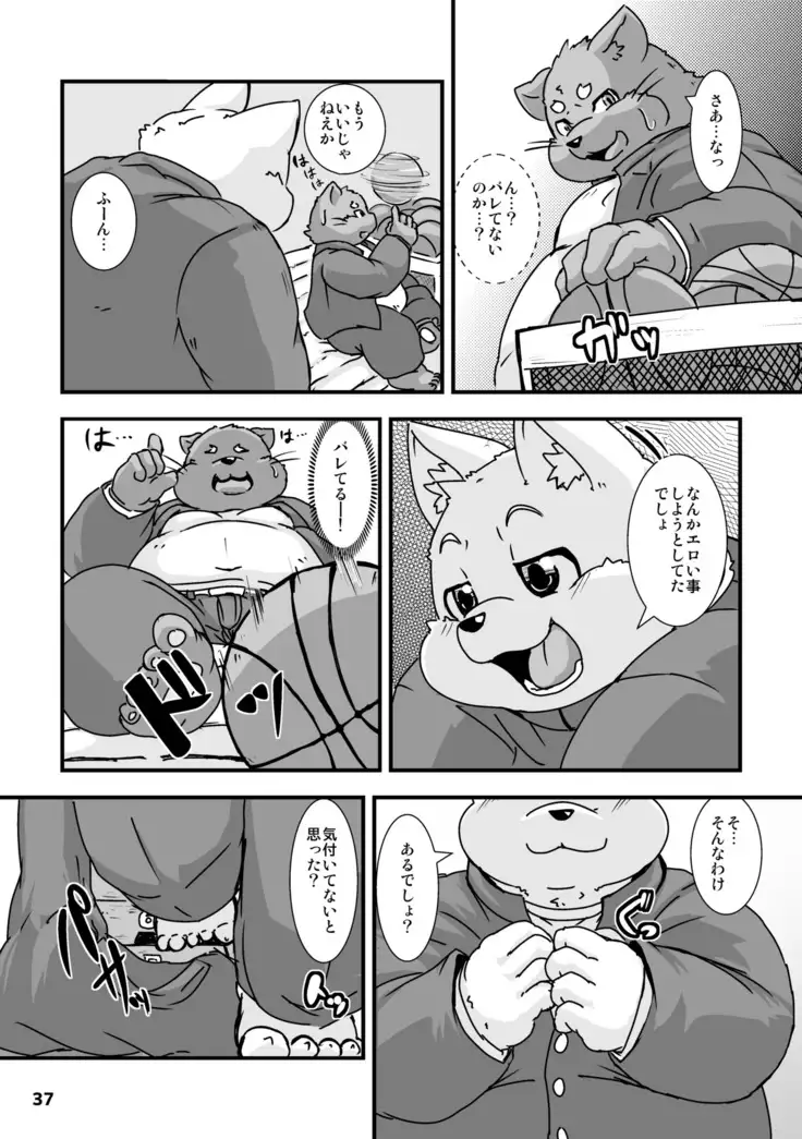 Waffle Sand Vol. 15
