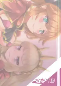 (ToreTama002) [Mizuwari Neko (Toyo)] Renkinjutsushi no Yoru (Granblue Fantasy)