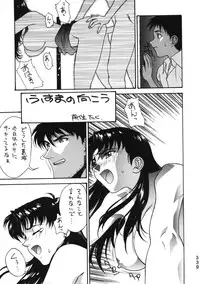 (C50) [Moriman Shouten (Various)] Katze 14 (Neon Genesis Evangelion)