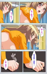 [Silky's] [Full Color Seijin Han] Maro no Kanja wa Gatenkei ~Sakimi no Shou 2~ Complete Ban [Digital]