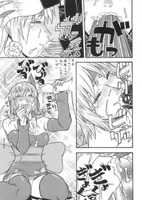 (C61) [From Japan (Aki Kyouma)] FIGHTERS GIGA COMICS FGC ROUND 3 (Dead or Alive)