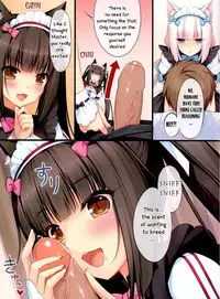 (C84) [NEKO WORKs (Sayori)] Neko Para 01 [English] [Life4Kaoru] [Decensored]