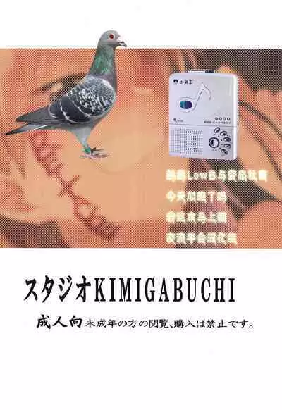 Kyouyama Kazusa no Sensei Kouryakujutsu