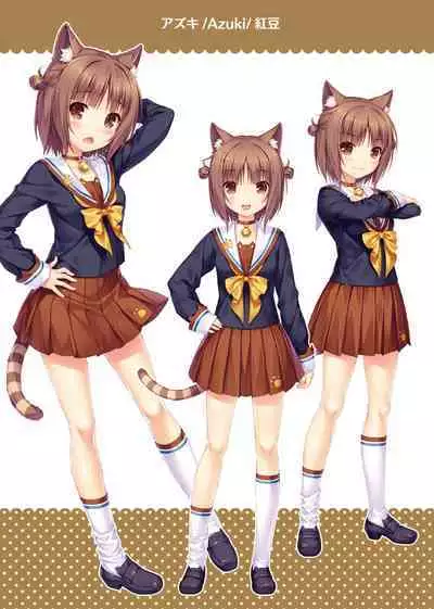 NEKOPARA ART WORKS Extra