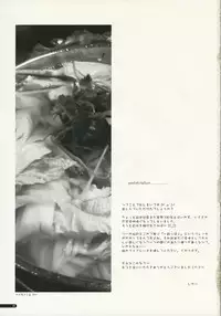 [ANGYADOW (Shikei)] eclipse 02 (GALZOO Island)