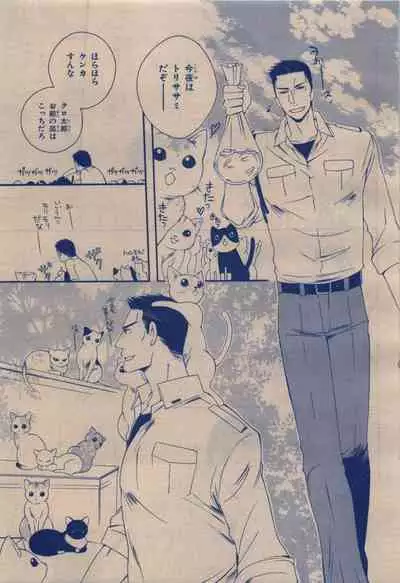 BE・BOY GOLD 2009-12