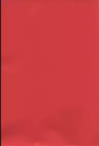 (C64) [Shallot Coco (Yukiyanagi)] Yukiyanagi no Hon 6 Morrigan Leather Type (Final Fantasy Tactics Advance)