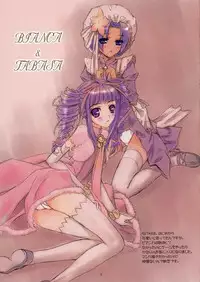 (C71) [Happy Paranoia, Shikkokuno J.P.S. (Wanashiro Giovanna, Hasumi Elan)] Child of Fortune (Rune Factory)