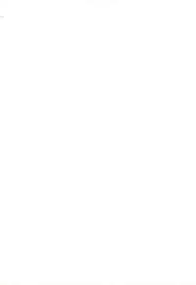 (C58) [Nihon Waru Waru Doumei (Various)] Mon Petit (Various)