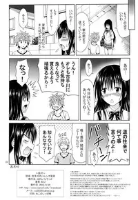 (COMIC1☆7) [Brain Dead (Eiji)] Kotegawa no Harenchi Sengen (To LOVE-Ru Darkness)