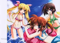 (C78) [PLUM (Kanna)] Mahou Senki Magical SEED DEEP (Mahou Shoujo Lyrical Nanoha [Magical Girl Lyrical Nanoha])